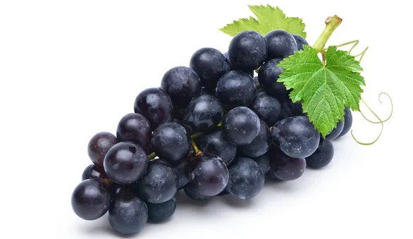 Черный виноград