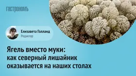 Ягель вместо муки: как северный лишайник оказывается на наших столах