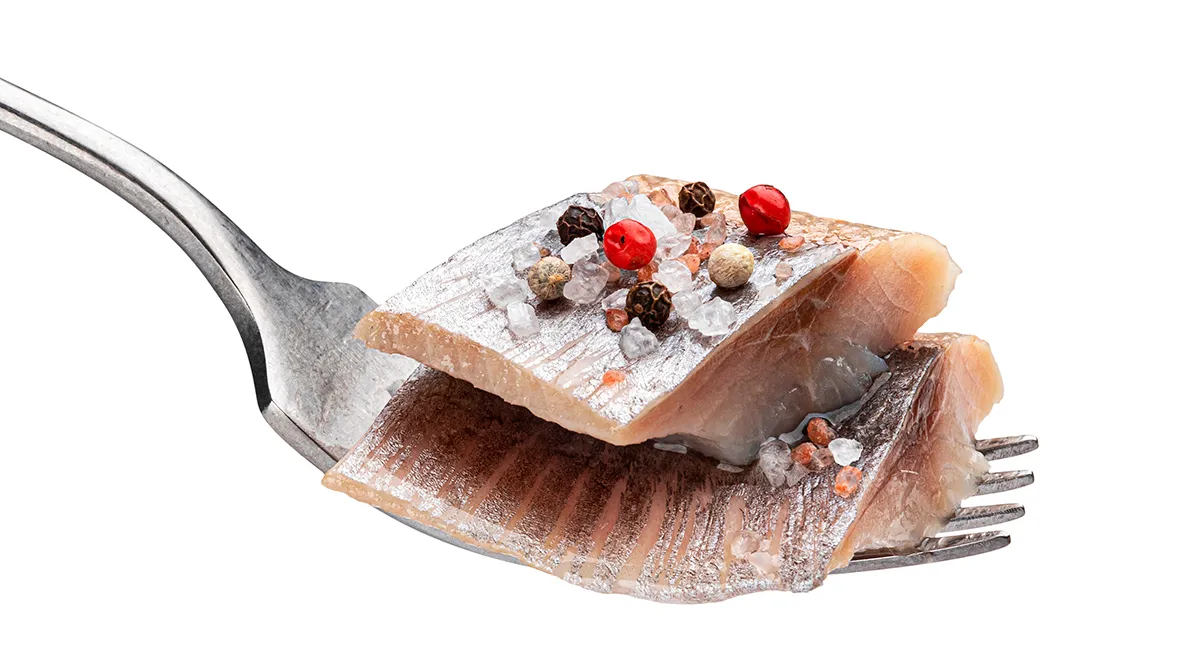 Соленая сельдь