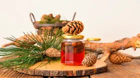 Со вкусом леса: что готовят из сосновых шишек