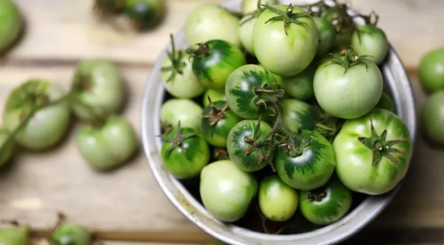 Зеленые помидоры