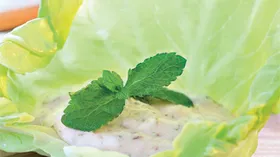 Рецепты с приправами, кисломолочными продуктами и соусами