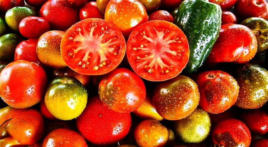 30 рецептов с помидорами для лучшей работы мозга