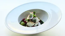 Рецепты с уксусом, сырами и огурцом