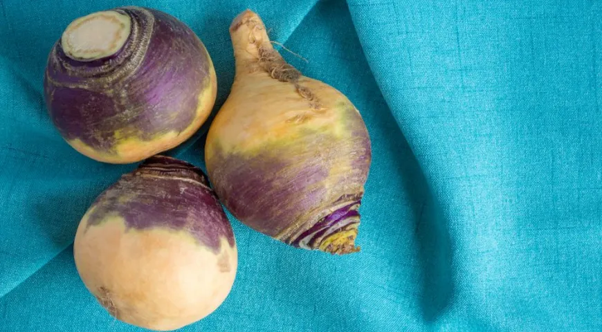 В брюкве содержатся глюкозинолаты и полифенолы, благодаря которым овощ обладает антиоксидантными свойствами и защищает клетки от опасных мутаций 