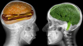 Эти 7 продуктов нужно есть, чтобы улучшить здоровье мозга