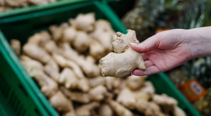 При покупке корня имбиря обращайте внимание на отсутствие пятен и повреждений на кожуре