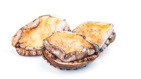 Морское ушко