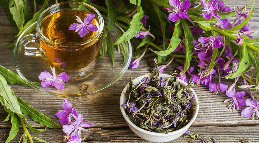 Настой ферментированных листьев иван-чая содержит ударную дозу витамина С и почти все витамины группы В