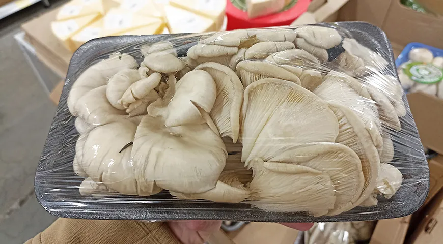 Выбирайте вешенки со светлыми шляпками — такие грибы моложе, нежнее и имеют более выраженный вкус