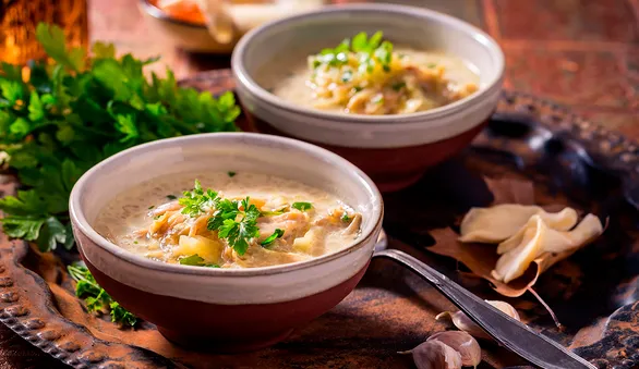 Суп с вешенками: 10 рецептов вкусных и согревающих грибных супов
