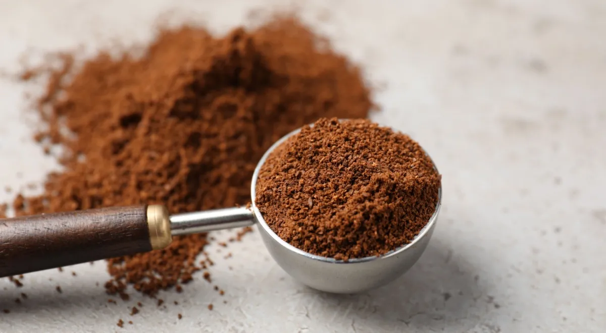 Ученые нашли способ улучшить вкус растительного мяса с помощью кофе