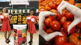 Что нового мы узнали о Турции?