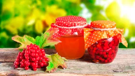 6 осенних ягод для крепких сосудов