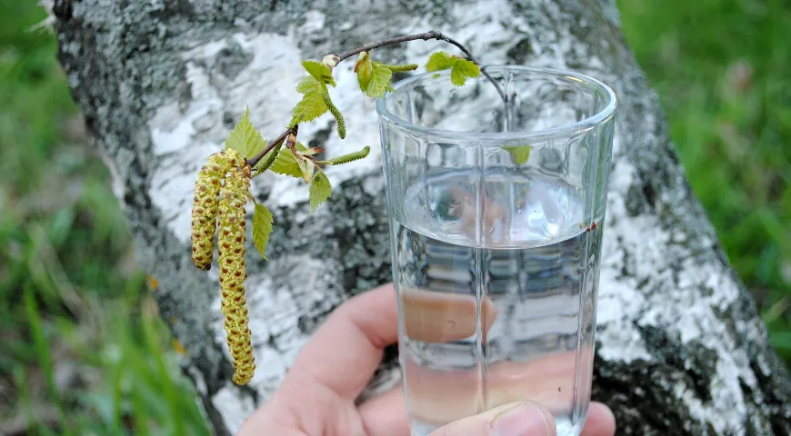 Березовый сок