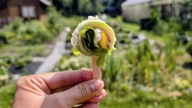 Кабачковое мороженое
