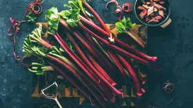 Вкусно и полезно, но можно не всем – в чем опасность ревеня