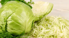 Польза и вред капусты для организма