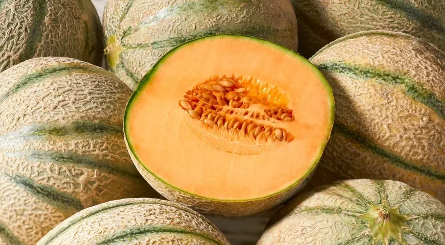 Изучайте разные сорта дыни, у каждого уникальный вкус