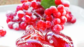 Желе из свежей калины