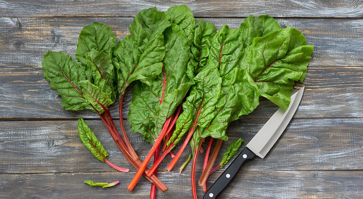 Листья свеклы польза. Листья свеклы. Свекольная ботва впрок. Red Chard. Мангольд польза.