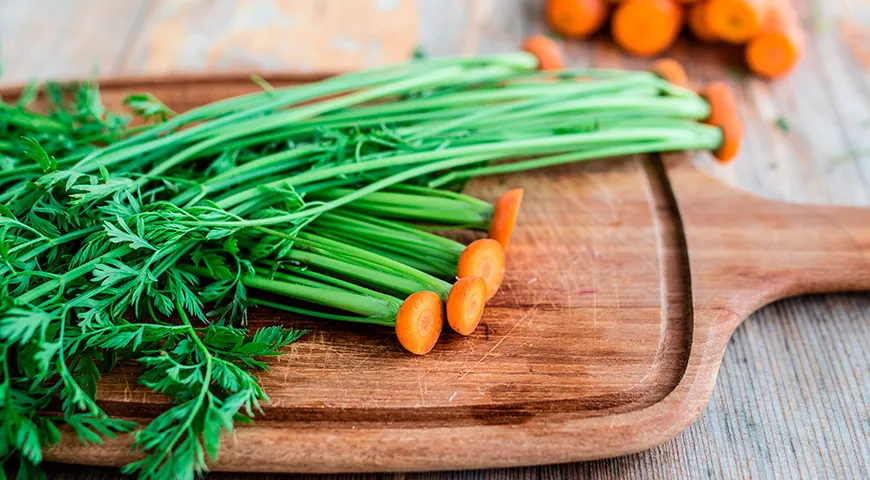 У хорошей морковной ботвы листики мелкие и воздушные, не слипшиеся и без капель влаги на поверхности