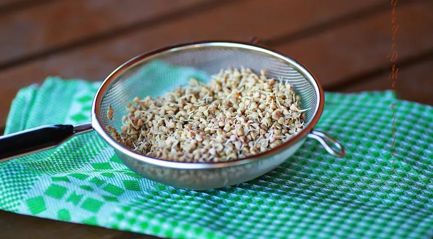 Продолжаем разговор о проростках…