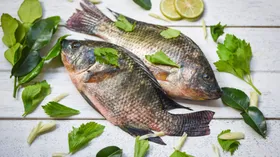 Всемирный день рыболовства в 2025 году: история и традиции праздника