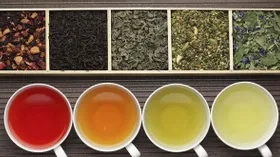 Какой чай можно пить с пользой: рассказывает нутрициолог
