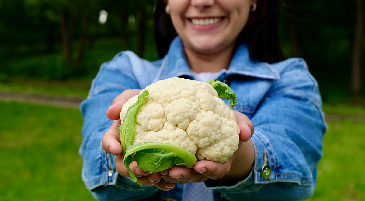 Простые и вкусные блюда из цветной капусты, 13 рецептов на каждый день