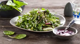Рецепты с чесноком, молочной продукцией и щавелем
