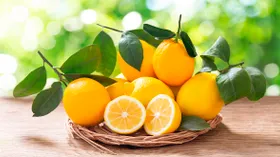 Лимон внезапно признан самым полезным фруктом — вот за что