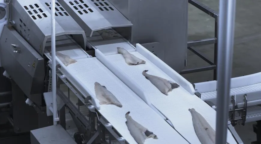 полярное море