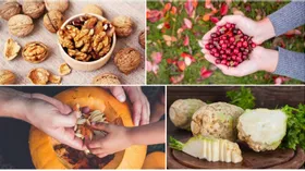 Гастрономический шопинг-лист на октябрь: корнеплоды, капуста, яблоки, брусника, клюква, тыква, виноград, кизил, устрицы, грецкие орехи