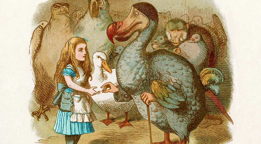 В книге Алиса угощает птиц комфитами — сладостями из кусочков сухофруктов, семян и орехов
