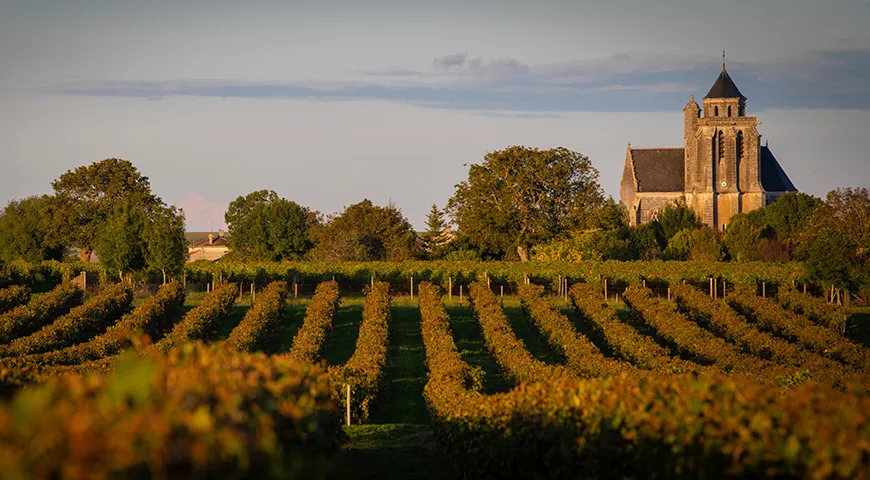 Франция, департамент Шарант-Мартим, церковь Лонзак, виноградники Коньяка, Пти-Шампань