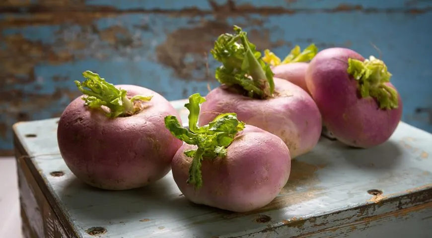 Всё о турнепсе