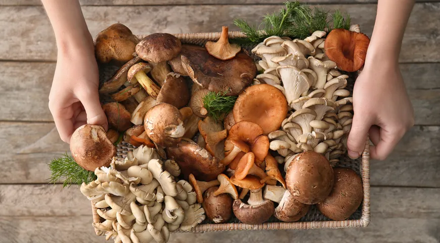 Аромат, цвет и даже консистенция грибного супа кардинально зависят от вида используемых грибов