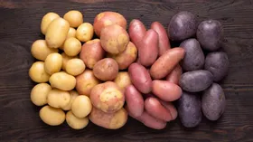 7 уникальных видов картофеля, которые есть только в России