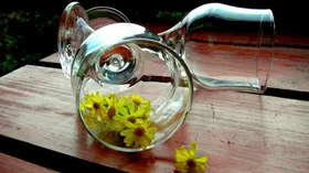 В России создали инновационный напиток против депрессии — в основе 2 знакомых растения