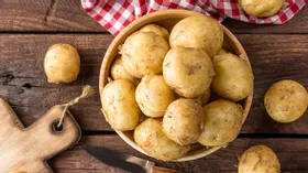 Антуан Пармантье: история о главном популяризаторе картофеля 