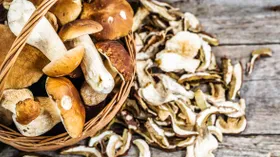 Как варить суп из сушеных грибов