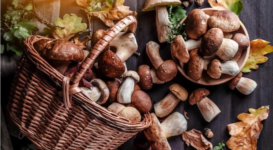 Пора по грибы