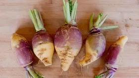 Брюква возвращается: что это за корнеплод, чем полезен и когда может навредить