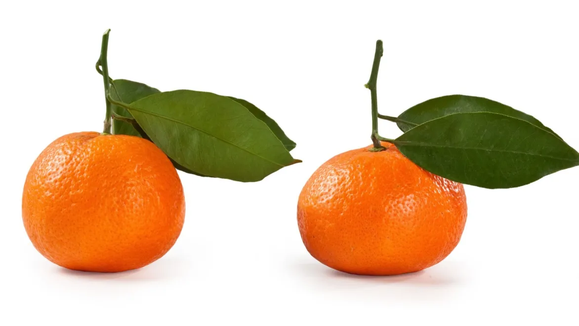 Бала қыздың қынабына қолын тығып алды