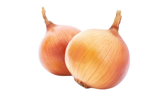 Лук репчатый