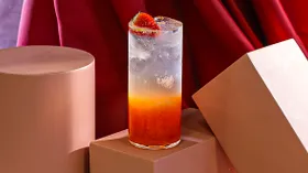 Рецепты с джином и ягодами