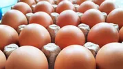 Как определить свежесть яиц, не разбивая их