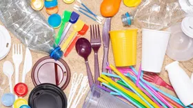 В России запретят использовать ватные палочки и пластиковую посуду