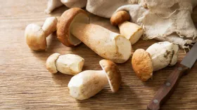 Как заморозить белые грибы на зиму, полезные советы плюс быстрый рецепт грибного супа